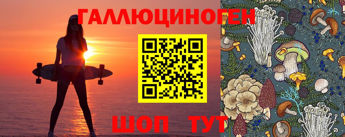 Саянск  Псилоцибиновые грибы прущие грибы  Вход с VPN 